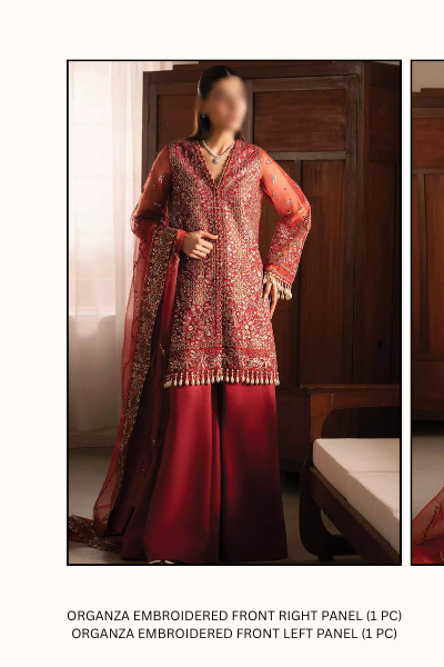 Ayzel Solena Wedding Formals 2024 – AZW-V2-24-09 | Embroidered Organza Suit