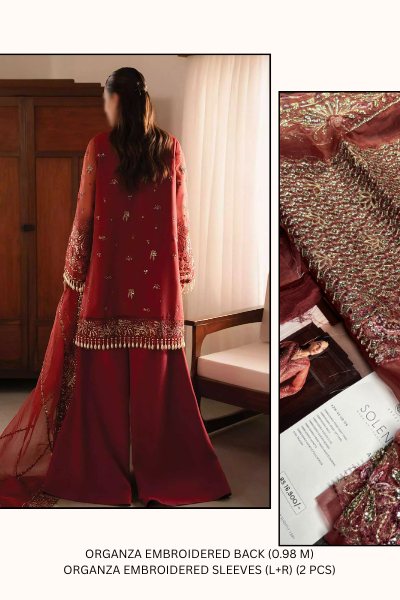 Ayzel Solena Wedding Formals 2024 – AZW-V2-24-09 | Embroidered Organza Suit