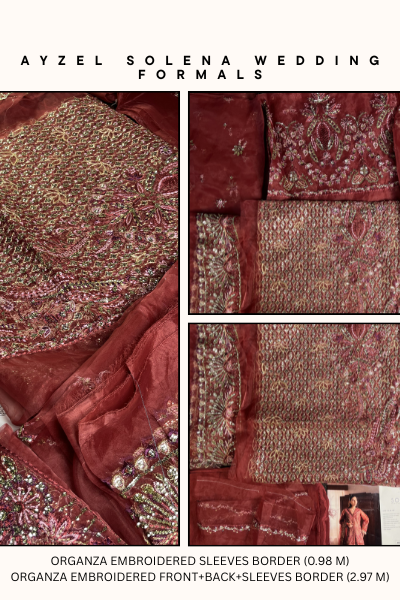 Ayzel Solena Wedding Formals 2024 – AZW-V2-24-09 | Embroidered Organza Suit
