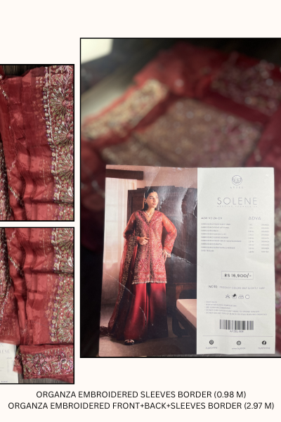 Ayzel Solena Wedding Formals 2024 – AZW-V2-24-09 | Embroidered Organza Suit