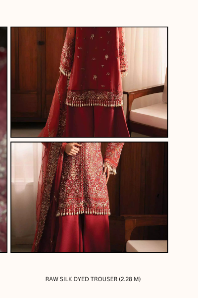 Ayzel Solena Wedding Formals 2024 – AZW-V2-24-09 | Embroidered Organza Suit